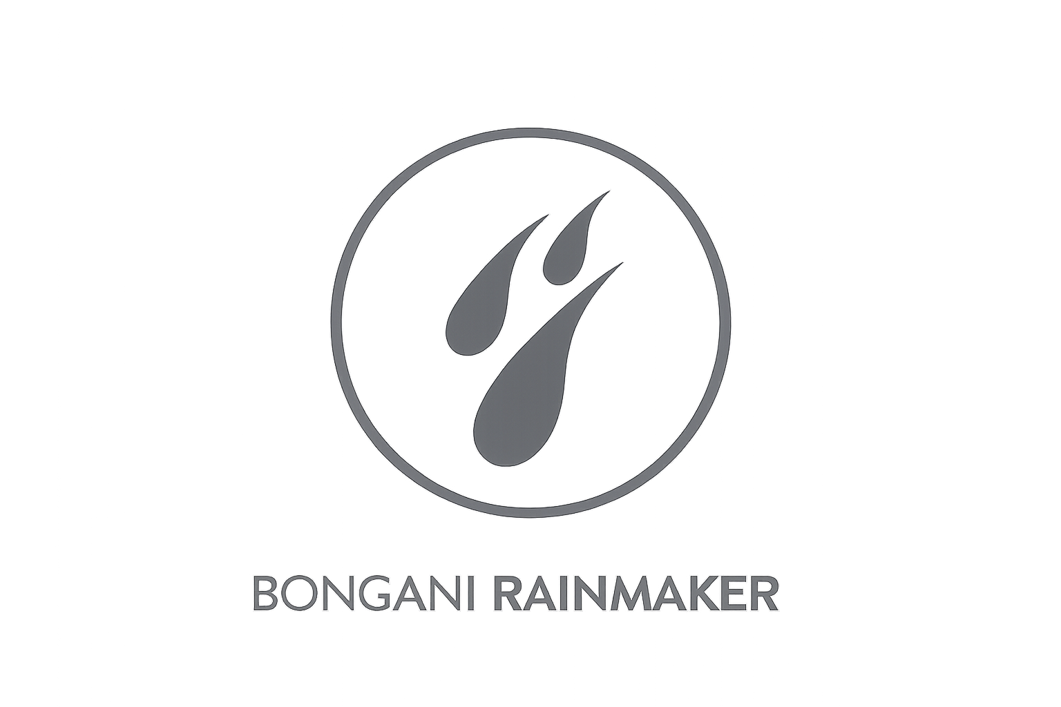 Bongani Rainmaker logo